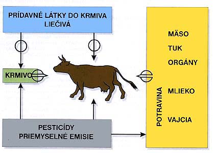chemicke latky